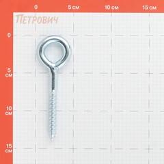 Шуруп-кольцо для крепления строительных лесов Hard-Fix DIN 4420 12х90 мм (12 шт.) - фото 2