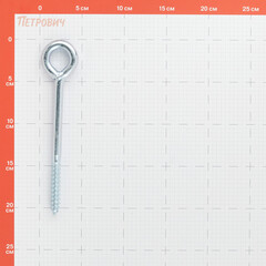 Шуруп-кольцо для крепления строительных лесов Hard-Fix DIN 4420 12х160 мм (12 шт.) - фото 2