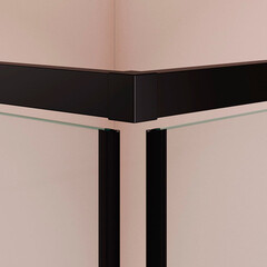 Душевой уголок RGW PA 038B черный 90х90х195 см квадрат стекло прозрачное 6 мм - фото 2