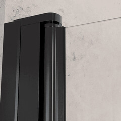 Душевая дверь Dolphin TN-03B стекло прозрачное 90х195 см профиль черный 6 мм распашная (54930309-14) - фото 2