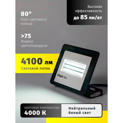 Прожектор светодиодный Navigator ДО-50 4000К 50 Вт IP65 черный - фото 4