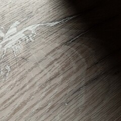 Панель стеновая МДФ для кухни 2400х600х4 мм дуб флагстафф светлый - фото 2