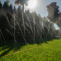 Шланг для капельного полива сочащийся однослойный Daewoo ПВХ (DWH 1108) - фото 2