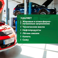 Моющее средство Prosept для удаления промышленных загрязнений концентрат 5 л - фото 5