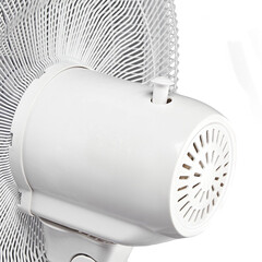 Вентилятор напольный Electrolux EFF-1006W 3 скорости 50 Вт - фото 8