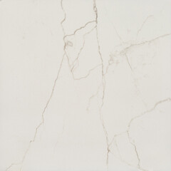 Керамогранит Уральский Гранит Neiva G391 белый 600х600х9 мм (4 шт.=1,44 кв.м) - фото 9