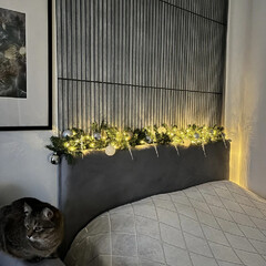 Панель ПВХ 600х290х3 мм офсет Grace серый бук 0,174 кв.м - фото 5