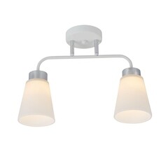 Люстра потолочная Schaffner Fattore E27 80 Вт 12 кв.м (4555-2 WH-CR)