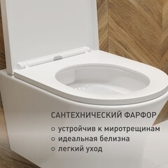 Унитаз подвесной Corsa Deco FX Rimless безободковый с сиденьем дюропласт микролифт (WHFX490SR) - фото 4