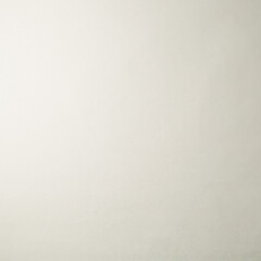 Обои компакт-винил на флизелиновой основе Elysium Виола фон Е203900 (1,06х10,05 м) - фото 4