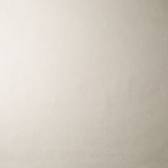 Обои компакт-винил на флизелиновой основе Elysium Терра фон Е600501 (1,06х10,05 м) - фото 4