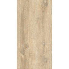 Керамогранит Estima Dream Wood коричневый DW02 1200х600х9 мм (2 шт.=1,44 кв.м)