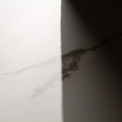 Керамогранит Lavelly Onyx Nebbia серый полированный 1200х600х8,5 мм (2 шт.=1,44 кв.м) - фото 3