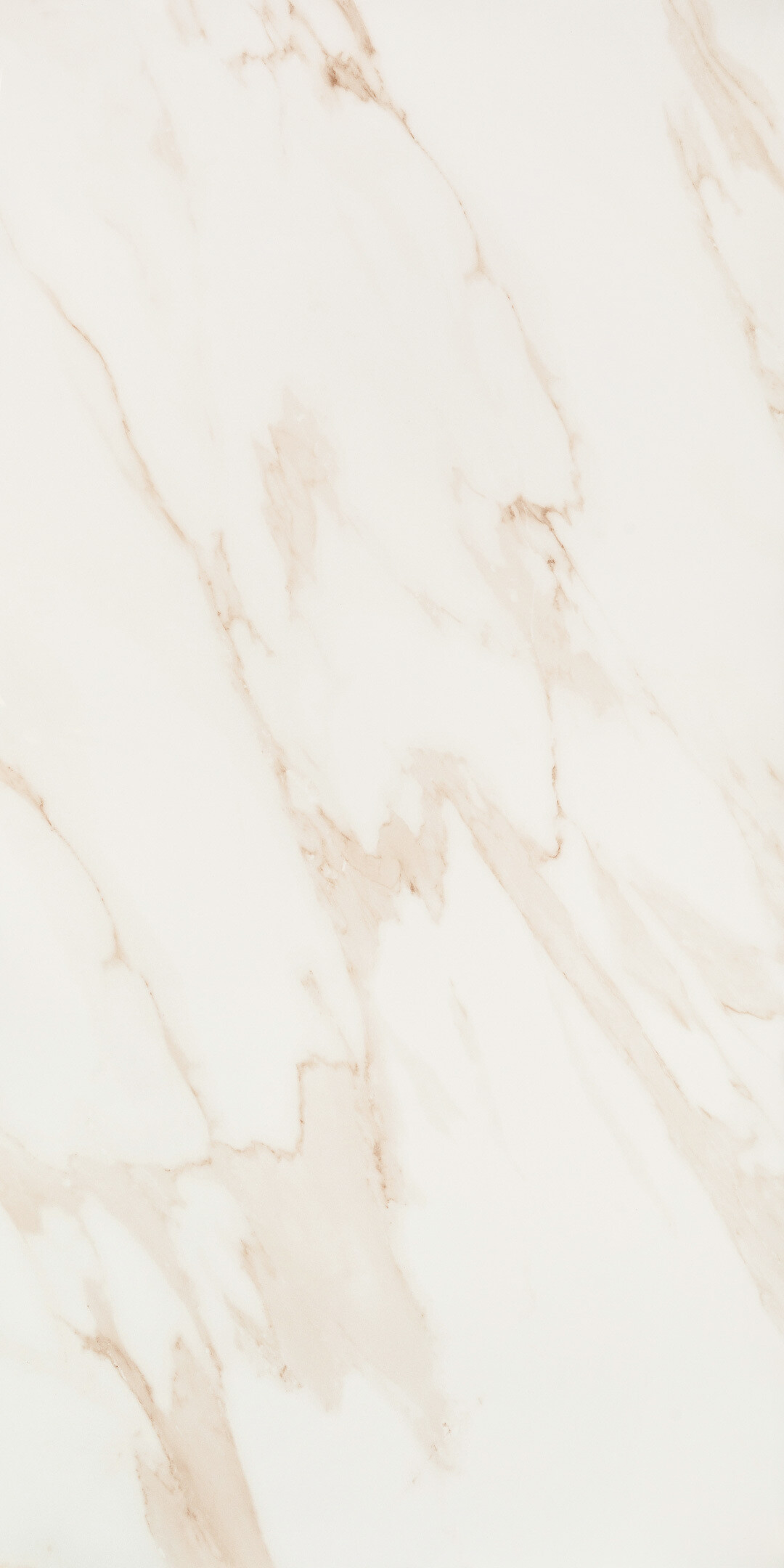 Изображение товара Керамогранит Lavelly Calacatta Imperia белый полированный 1200x600 мм Изображение товара Керамогранит Lavelly Calacatta Imperia белый полированный 1200x600 мм