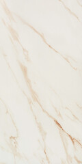 Изображение товара Керамогранит Lavelly Calacatta Imperia белый матовый 1200x600x8,5 мм (2 шт.=1,44 кв.м)