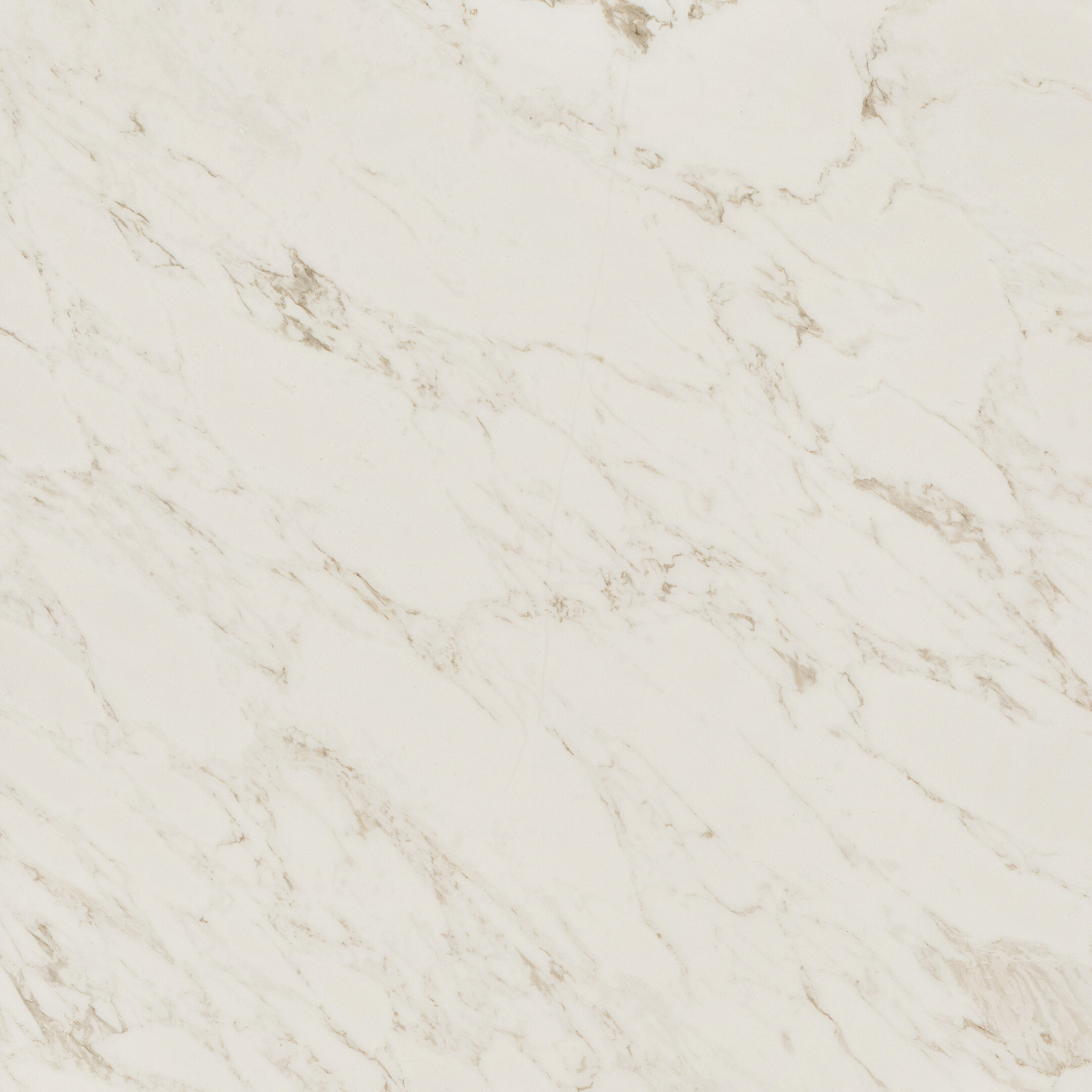 Изображение товара Керамогранит Lavelly Statuario Savona белый 600x600 матовый для пола и фасада