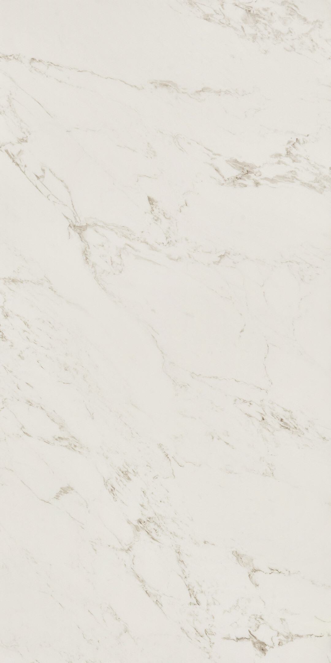 Изображение товара Керамогранит Lavelly Statuario Savona белый матовый 1200x600