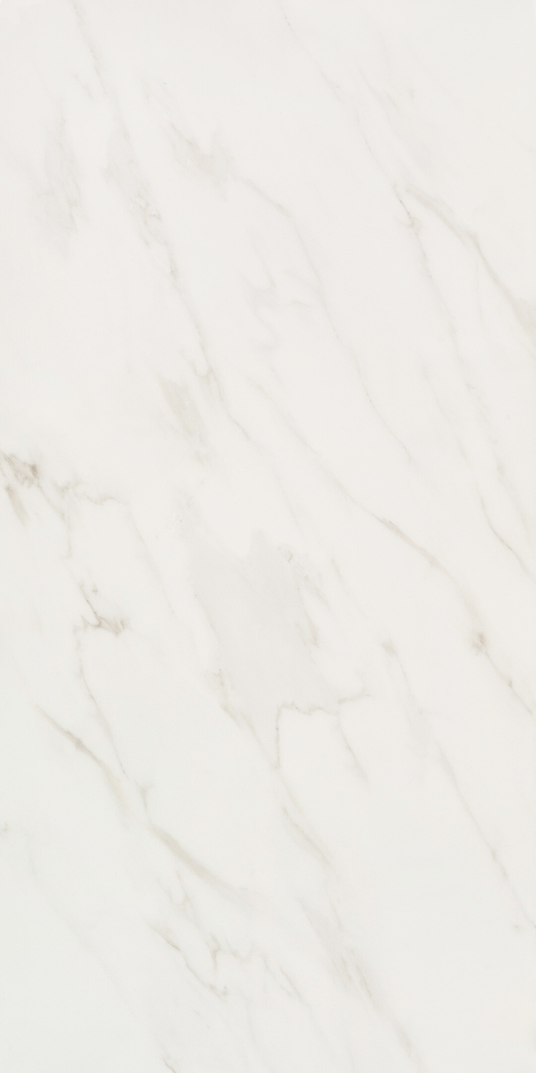 Изображение товара Керамогранит Lavelly Statuario Ligure белый полированный 1200x600 мм