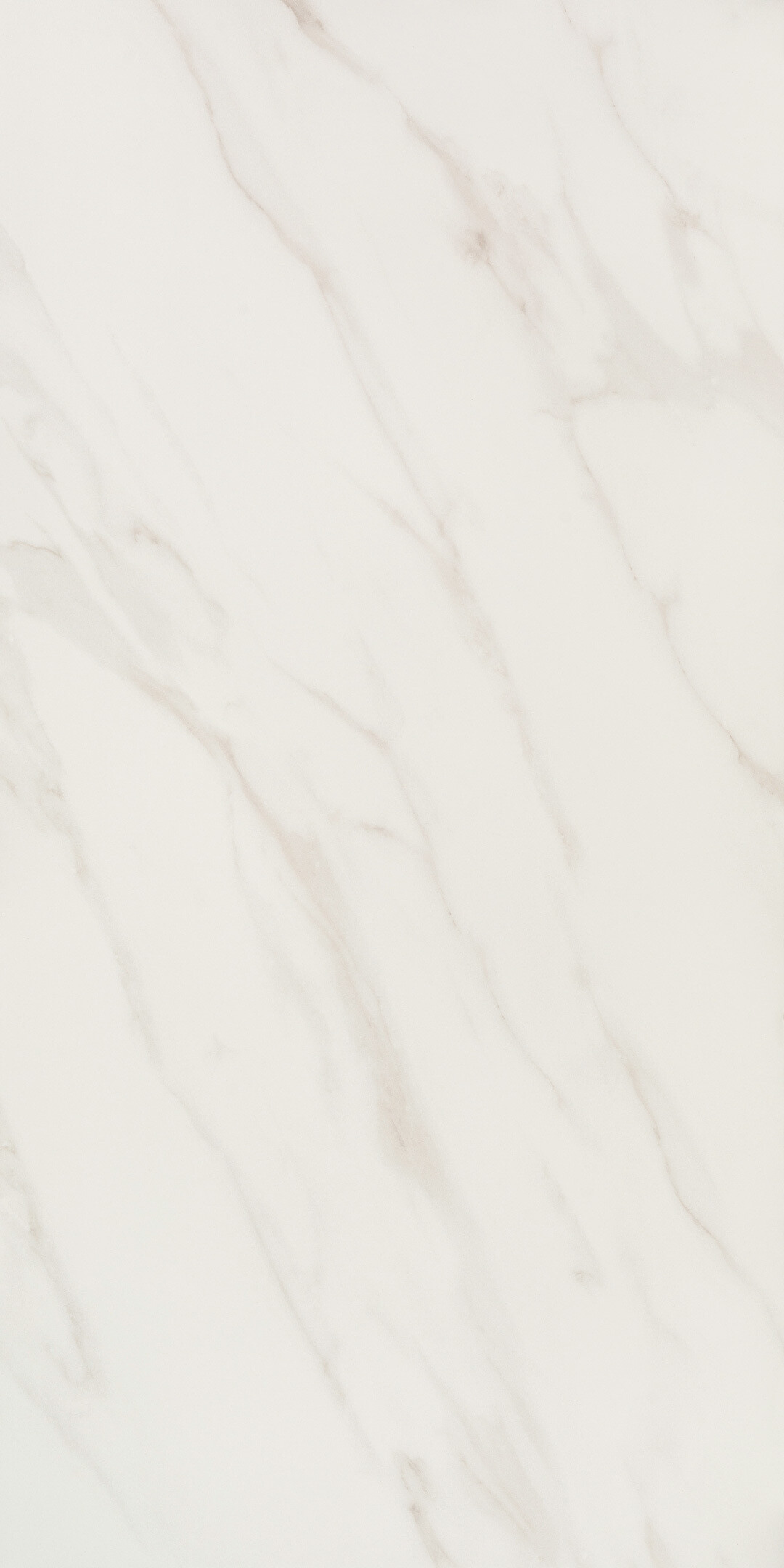 Изображение товара Керамогранит Lavelly Statuario Ligure белый матовый 1200x600 мм