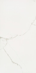 Керамогранит Lavelly Carrara Antico белый полированный 1200x600x8,5 мм (2 шт.=1,44 кв.м)