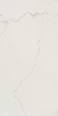 Керамогранит Lavelly Carrara Antico белый матовый 1200x600x8,5 мм (2 шт.=1,44 кв.м)