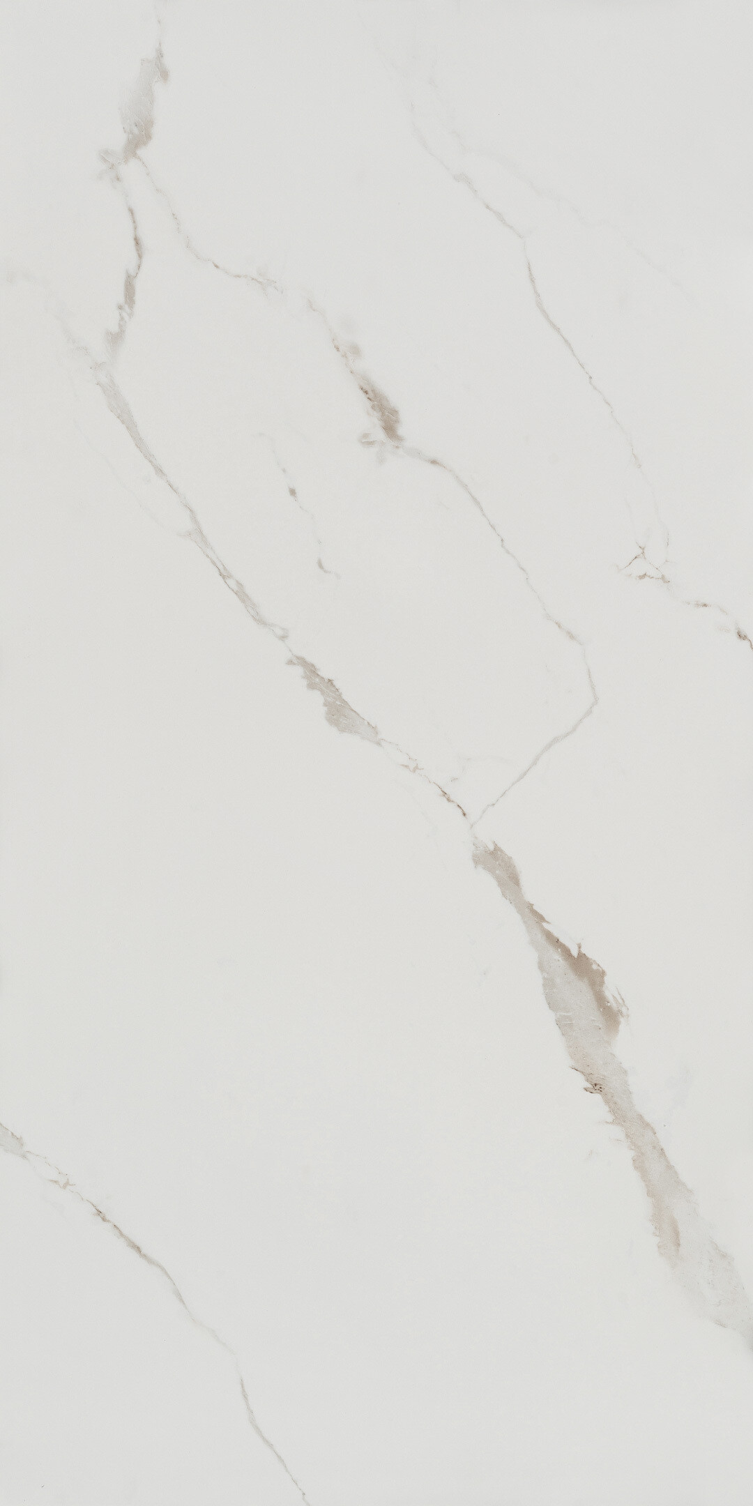 Изображение товара Керамогранит Lavelly Carrara Antico белый матовый 1600x800 мм