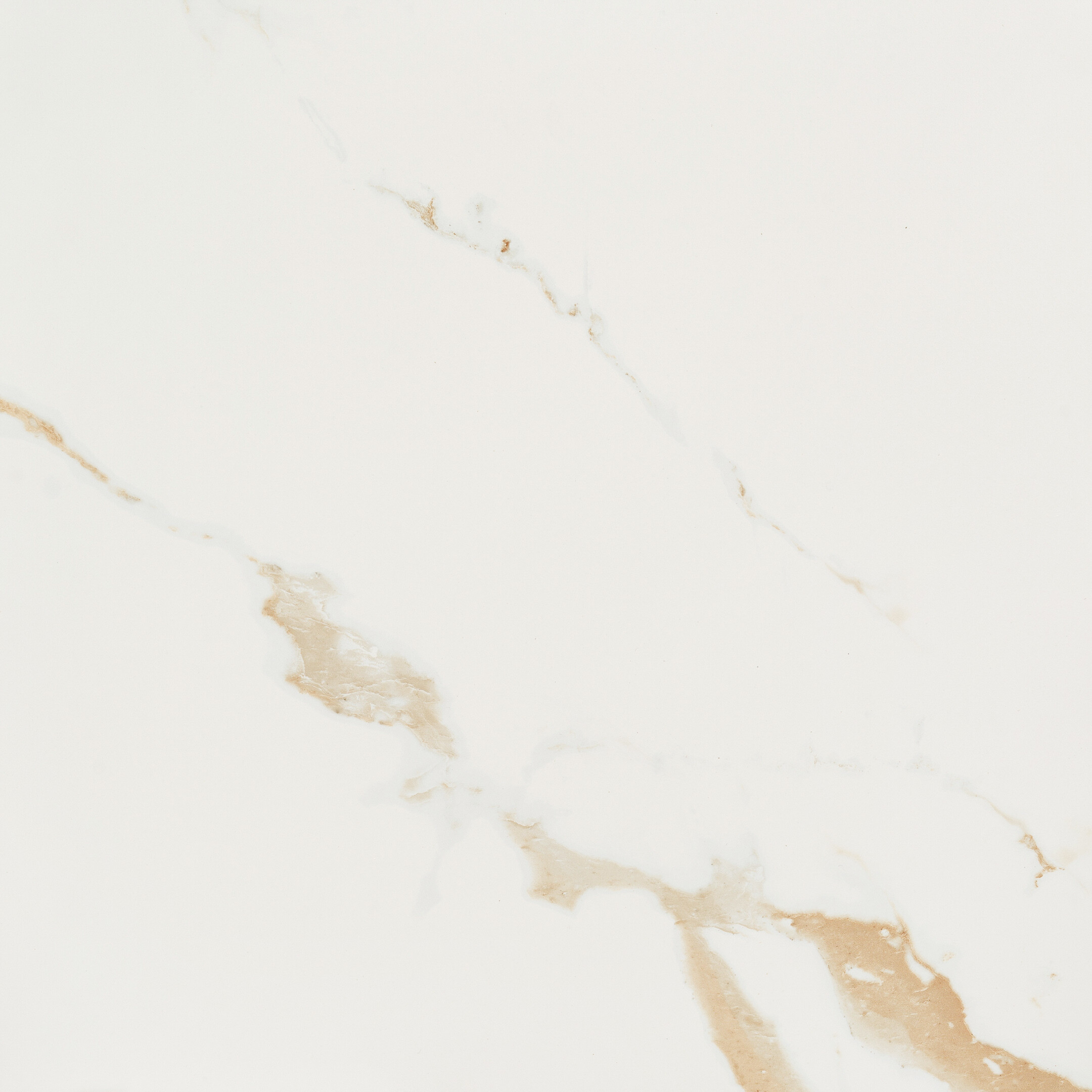 Изображение товара Керамогранит Lavelly Calacatta Toscana белый матовый 600x600 мм