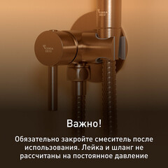 Смеситель с гигиеническим душем встраиваемый Corsa Deco со скрытой частью в комплекте матовое золото (HF001G) - фото 6