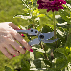 Секатор плоскостной ЦИ Мичуринский (703) - фото 2