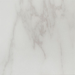 Керамогранит Kerama Marazzi Брера белый 200x200x8 мм (23 шт.=0,92 кв.м) - фото 4