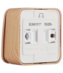 Выключатель Systeme Electric Blanca одноклавишный накладной ясень с подсветкой (BLNVA101115) - фото 4