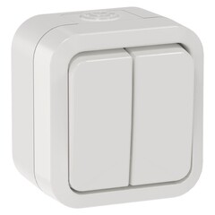 Изображение товара Выключатель Tors TS305 двухклавишный накладной белый (TS-V20-0-10-55-K01)