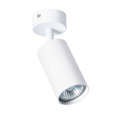 Спот потолочный Arte Lamp Aquarius GU10 35 Вт 1 кв.м белый IP20 (A3216PL-1WH)