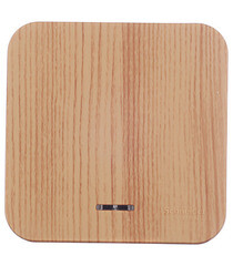 Изображение товара Выключатель Systeme Electric Blanca одноклавишный накладной ясень с подсветкой (BLNVA101115)