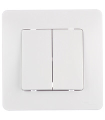 Выключатель Systeme Electric Blanca двухклавишный встраиваемый белый (BLNVS010501) - фото 1