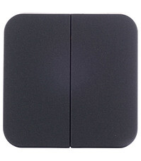 Выключатель Systeme Electric Blanca двухклавишный накладной антрацит (BLNVA105016)