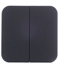 Выключатель Systeme Electric Blanca двухклавишный накладной антрацит (BLNVA105016) - фото 1