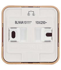 Выключатель Systeme Electric Blanca одноклавишный накладной ясень с подсветкой (BLNVA101115) - фото 5