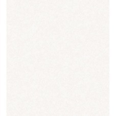 Обои бумажные СОФ Ника фон Д1030-00 (0,53х10,05 м)