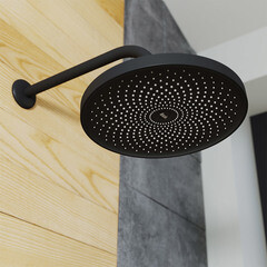 Держатель для верхнего душа Iddis Built-in Shower Accessories 350 мм настенный латунь черный (001BB35i61) - фото 2