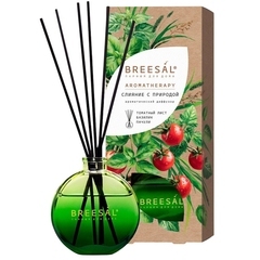 Аромадиффузор с палочками Breesal Aromatherapy Слияние с природой 70 мл