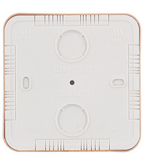 Коробка распределительная Systeme Electric Blanca накладная ясень (BLNRK000015) - фото 2