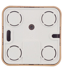 Розетка компьютерная Systeme Electric Blanca накладная ясень RJ45 (BLNIA045005) - фото 4