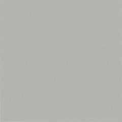 Изображение товара Керамогранит Уральский Гранит Моноколор светло-серый полированный UF002PR 600х600х10 мм (4 шт.=1,44 кв.м)