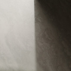 Керамогранит Уральский Гранит Гранитея Аллаки светло-серый G203 полированный 600х600х10 мм (4 шт.=1,44 кв.м) - фото 6