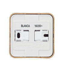 Розетка Systeme Electric Blanca накладная ясень со шторками (BLNRA011115) - фото 5