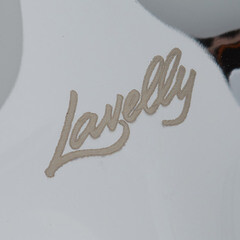 Смеситель для ванны Lavelly Simple хром двухвентильный с длинным изливом с лейкой (672192) - фото 6