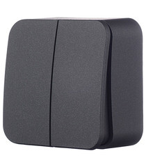 Выключатель Systeme Electric Blanca двухклавишный накладной антрацит (BLNVA105016) - фото 5