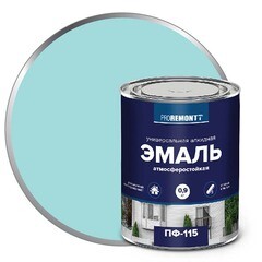 Эмаль алкидная Proremontt ПФ-115 мятная RAL 6027 0,9 кг