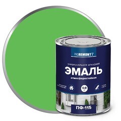 Эмаль алкидная Proremontt ПФ-115 салатовая 0,9 кг